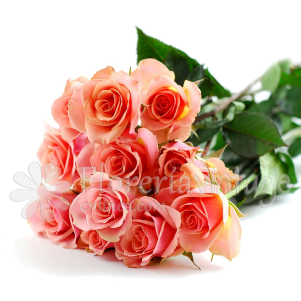 floreria-en-torreon