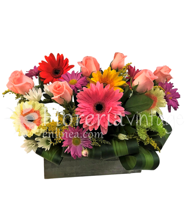 arreglos-florales-a-domicilio-GERROS-B-gerberas-y-rosas