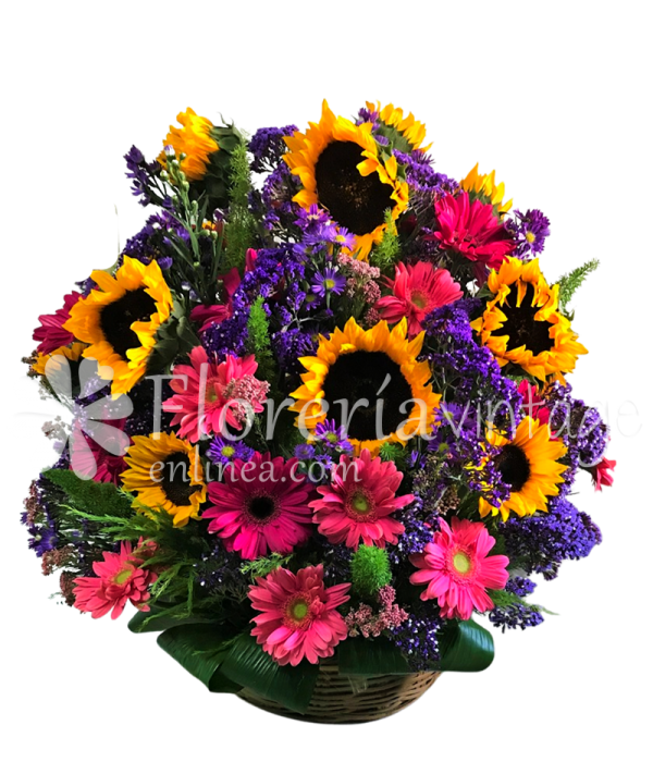 floreria-en-torreon-10GIR24GE-CAN-soles-de-amor